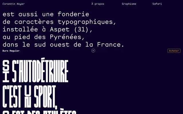 Corentin Noyer