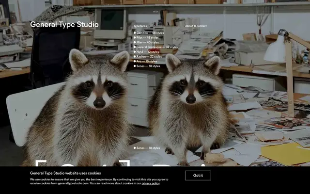 General Type Studio