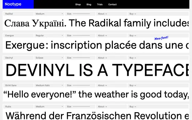 Nootype