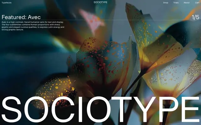 Sociotype