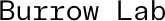 Burrow Lab logo