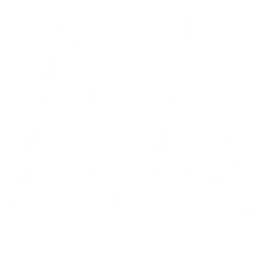 Metis Foundry logo
