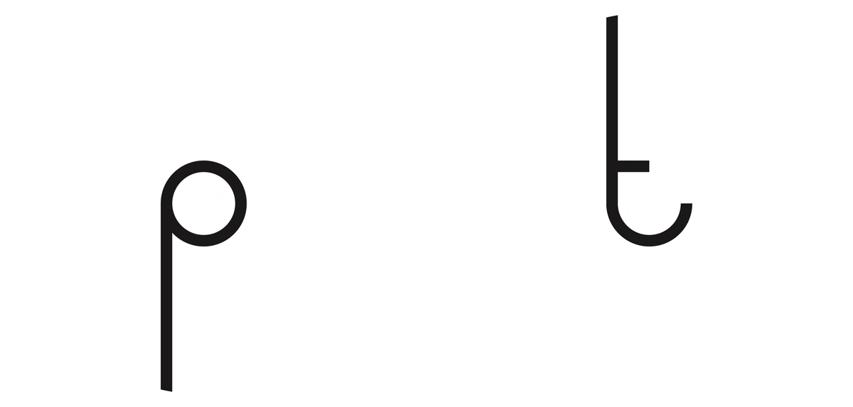 Praktypes logo