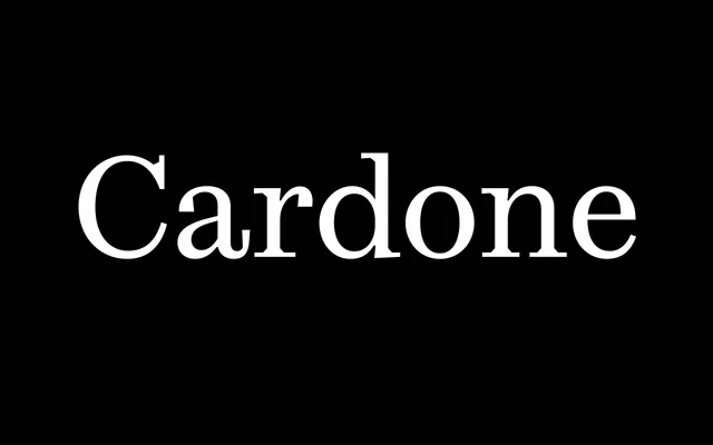 Cardone specimen from 205TF