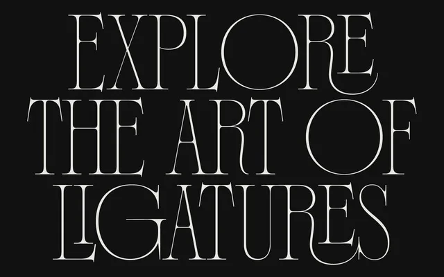 Poltra specimen from 6TM Magazine