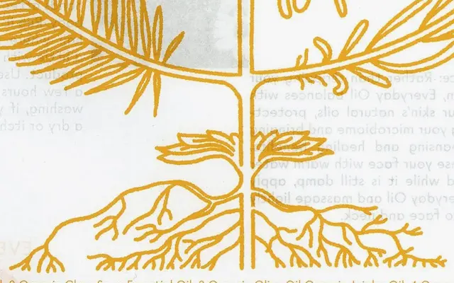 Certeau specimen from A Practice for Everyday Life
