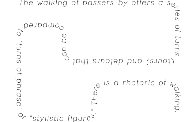 Piloti specimen from A Practice for Everyday Life