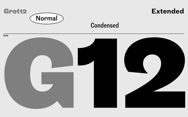 Grot12 Normal specimen from A2-Type