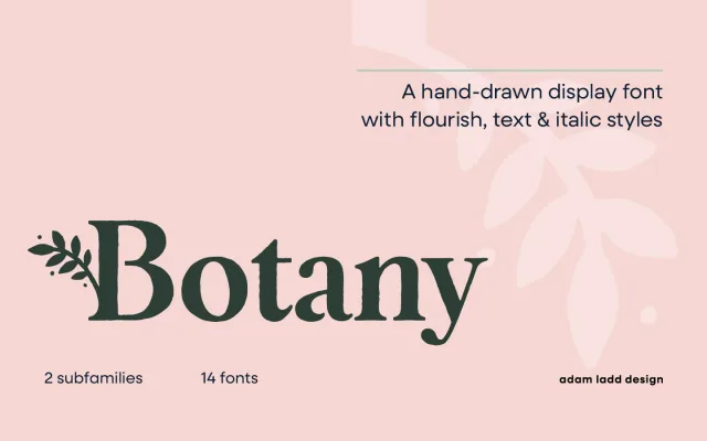Botany specimen from Adam Ladd Design