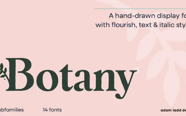 Botany specimen from Adam Ladd Design