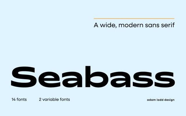 Seabass specimen from Adam Ladd Design