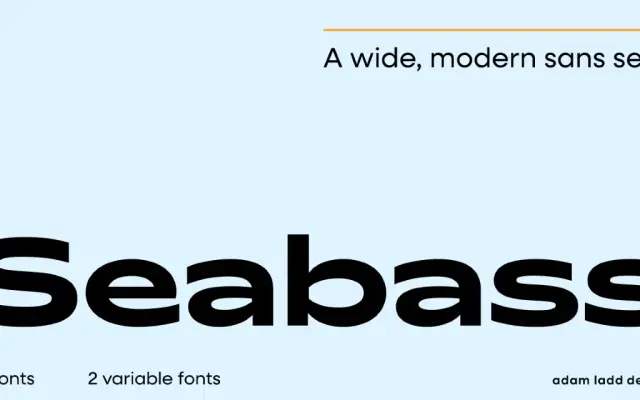 Seabass specimen from Adam Ladd Design