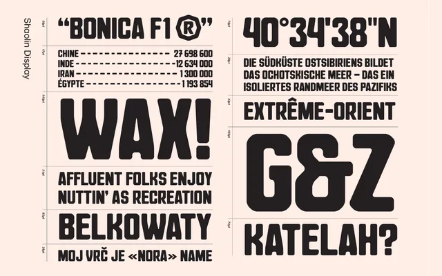 Shaolin specimen from AlfaType Fonts Foundry