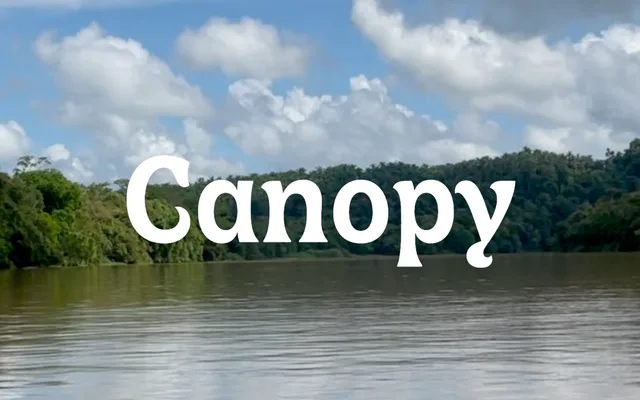 Canopy specimen from Approximate Type