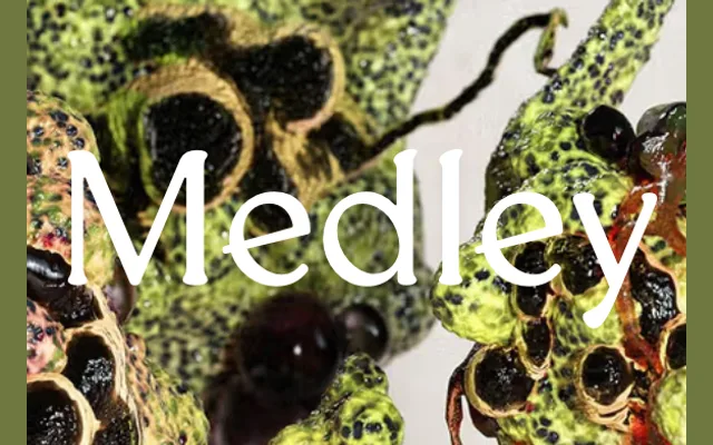 Medley specimen from Approximate Type