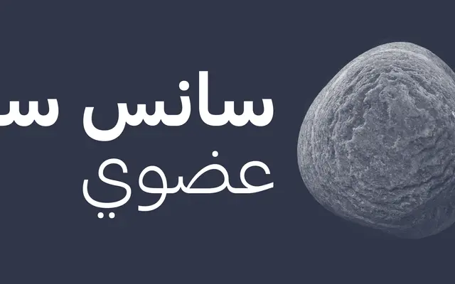 At Haüss Arabic specimen from Arillatype