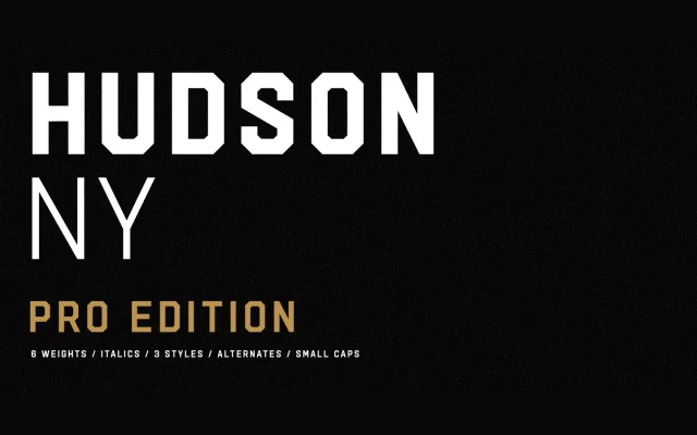 Hudson NY Pro specimen from Arkitype