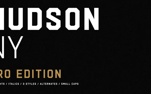 Hudson NY Pro specimen from Arkitype