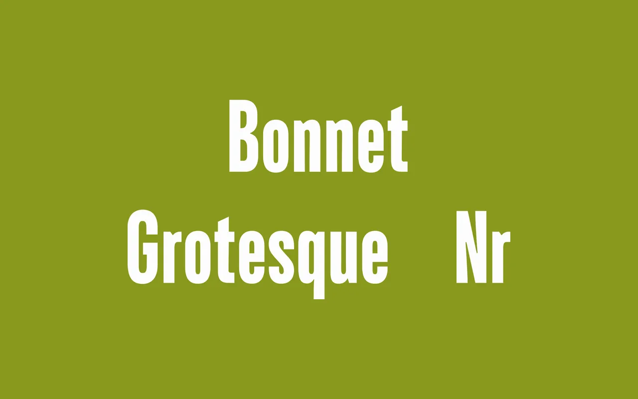 Bonnet Grotesque Nr specimen from Astype Fonts
