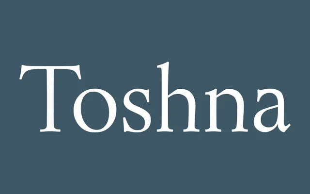 Toshna specimen from Astype Fonts