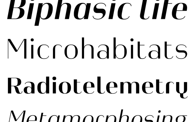 Heimat Display specimen from Atlas Fonts