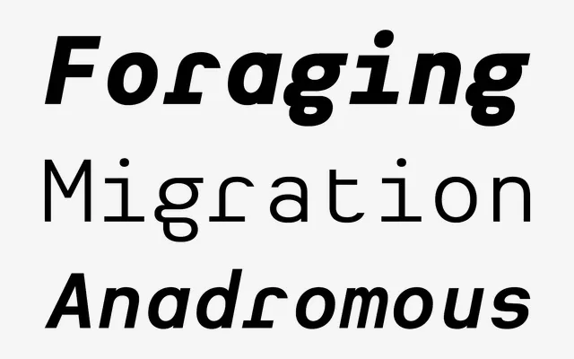 Heimat Mono specimen from Atlas Fonts
