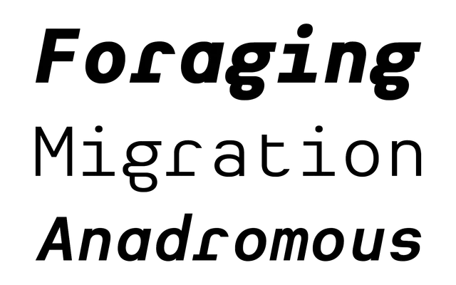 Heimat Mono specimen from Atlas Fonts