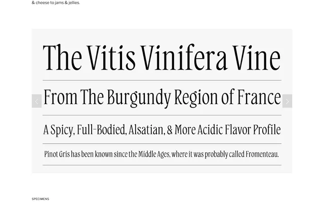 Grigio Serif specimen from Badson Type