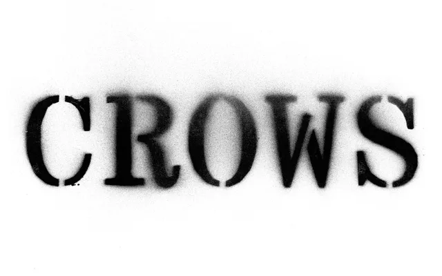 Crows specimen from Bal Foundry