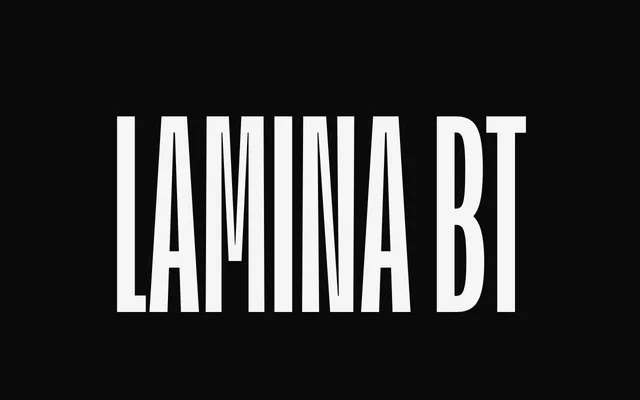 Lamina BT specimen from Bastarda