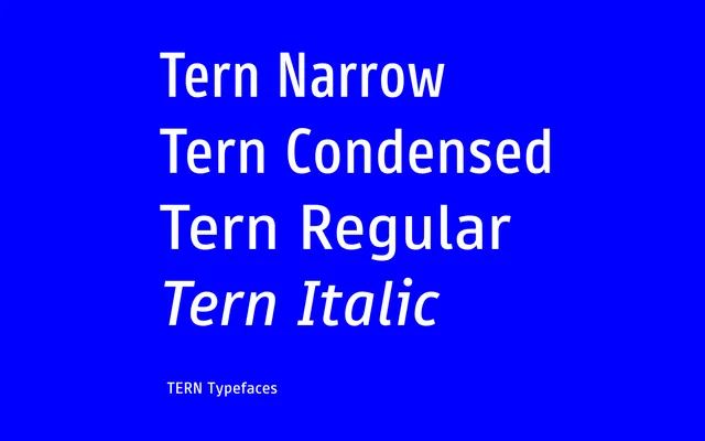 TERN specimen from bBox Type