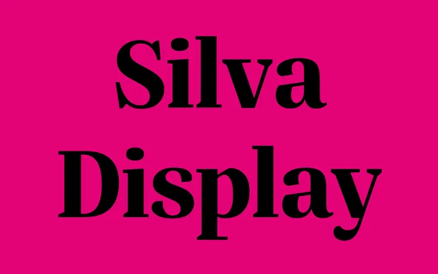 Silva Display specimen from Blackletra