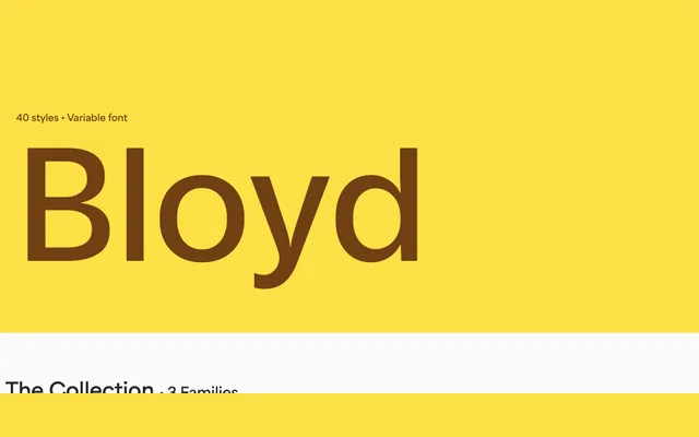 Bloyd specimen from Blaze Type