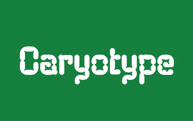 Caryotype specimen from Blaze Type