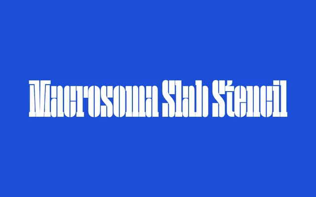 Macrosoma Slab Stencil specimen from Blaze Type