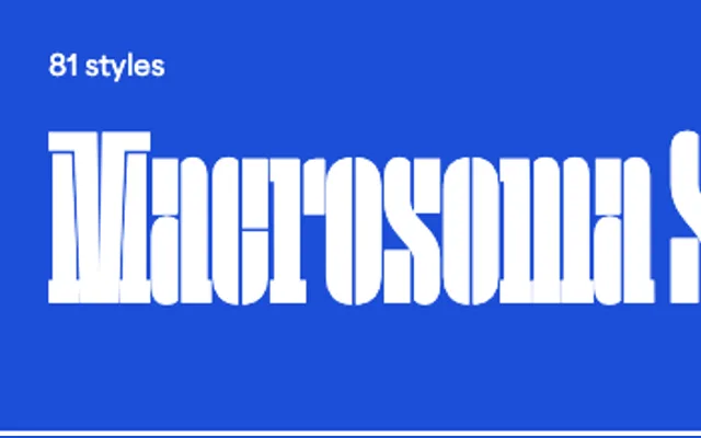 Macrosoma Slab Stencil specimen from Blaze Type