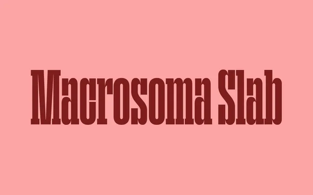 Macrosoma Slab specimen from Blaze Type