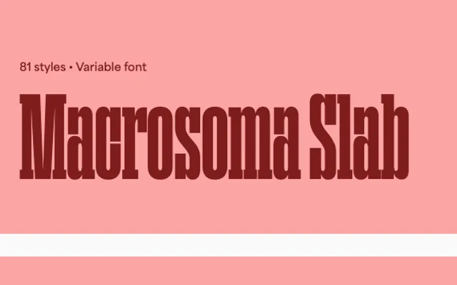 Macrosoma Slab specimen from Blaze Type