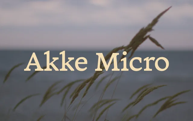 Akke Micro specimen from Bloom Type