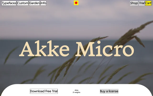 Akke Micro specimen from Bloom Type