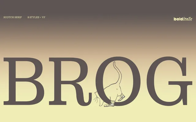 Brog specimen from Bolditalic