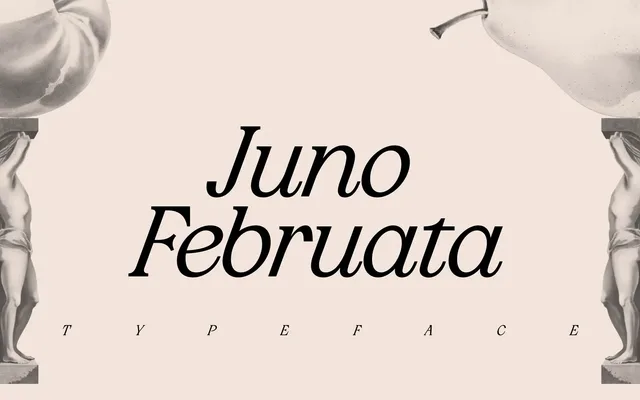 Juno Februata specimen from Bolditalic