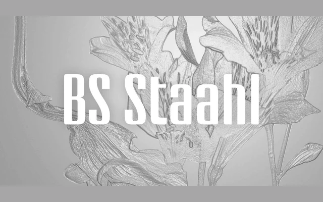 BS Staahl specimen from Bolid System