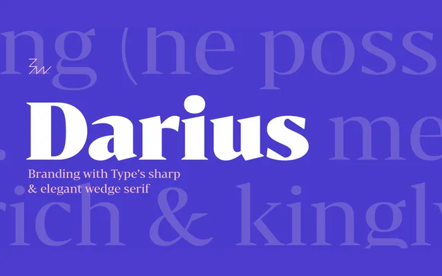Bw Darius specimen from Branding with Type