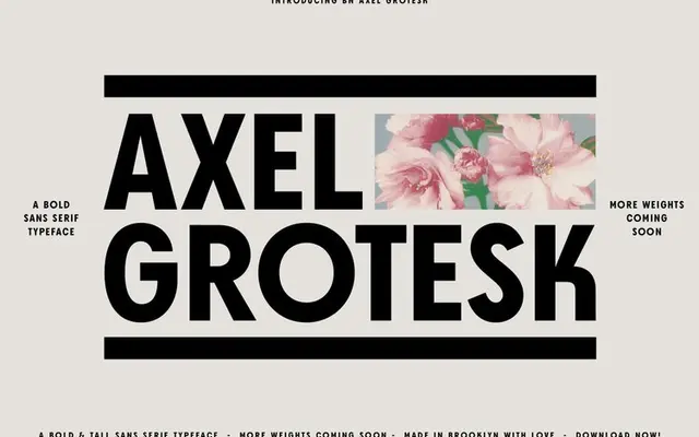 BN Axel Grotesk specimen from Brandon Nickerson