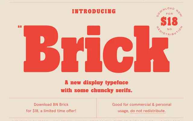 BN Brick specimen from Brandon Nickerson