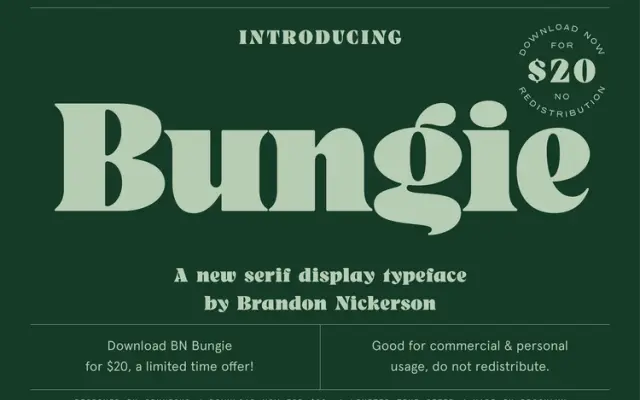 BN Bungie specimen from Brandon Nickerson