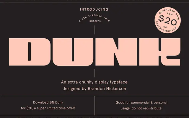 BN Dunk specimen from Brandon Nickerson