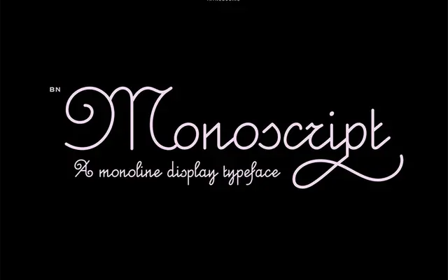BN Monoscript specimen from Brandon Nickerson