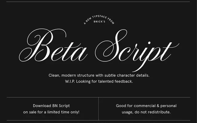 BN Script specimen from Brandon Nickerson